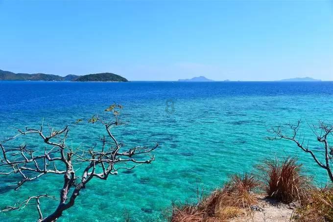 破壁机哪个牌子好?专业测评师真人实测!